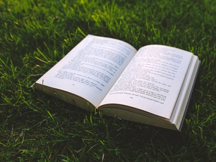 Open book laying on lawn