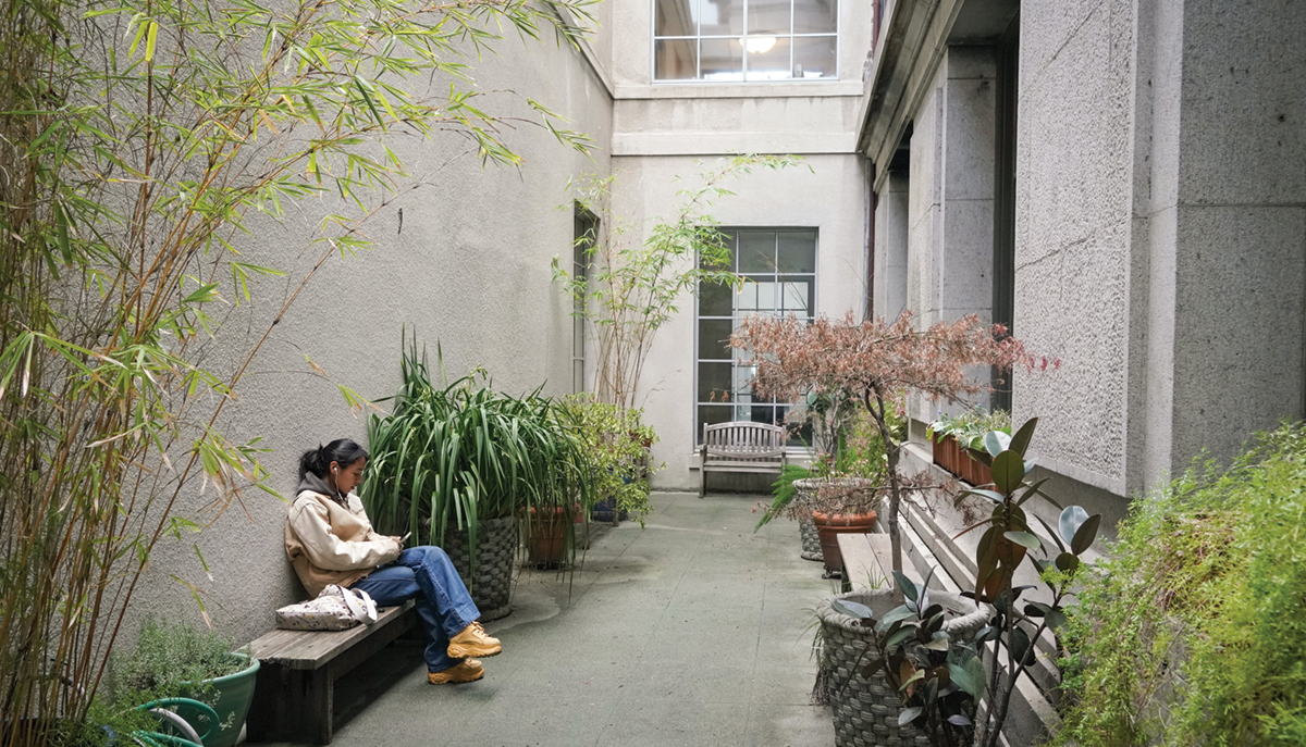 student sits in the courtyard with plants lining the walls