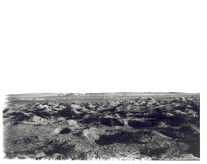 Cemetery at Tebtunis