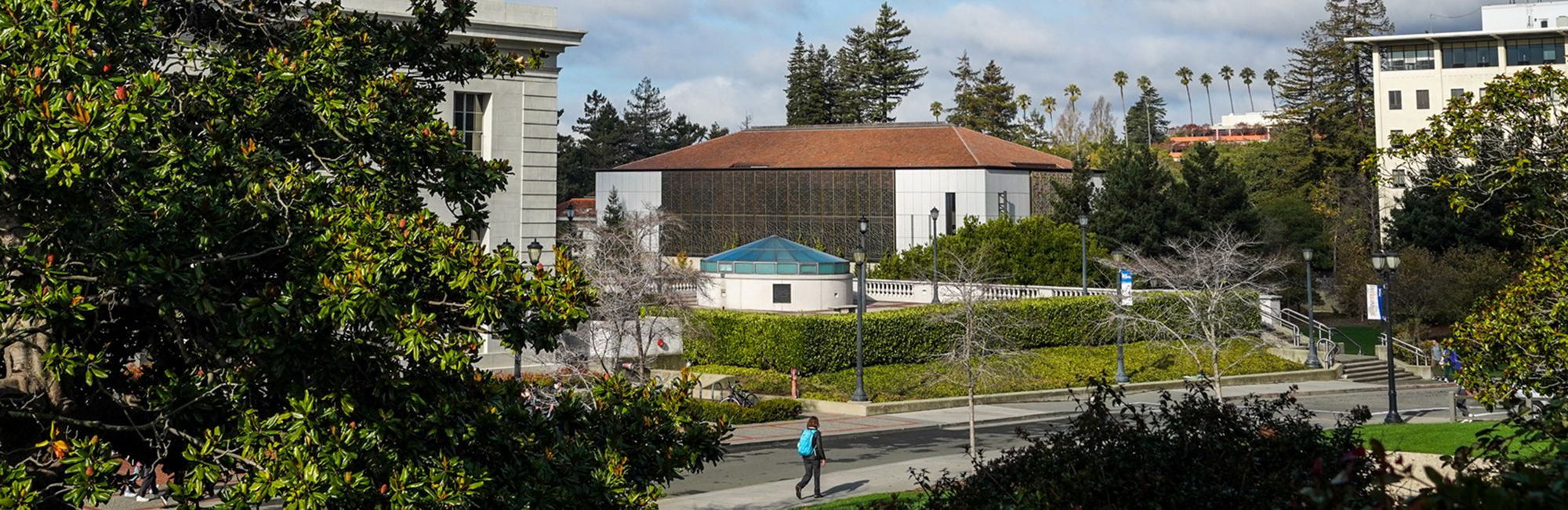 wide shot of UC Berkeley campus with trees and buildings