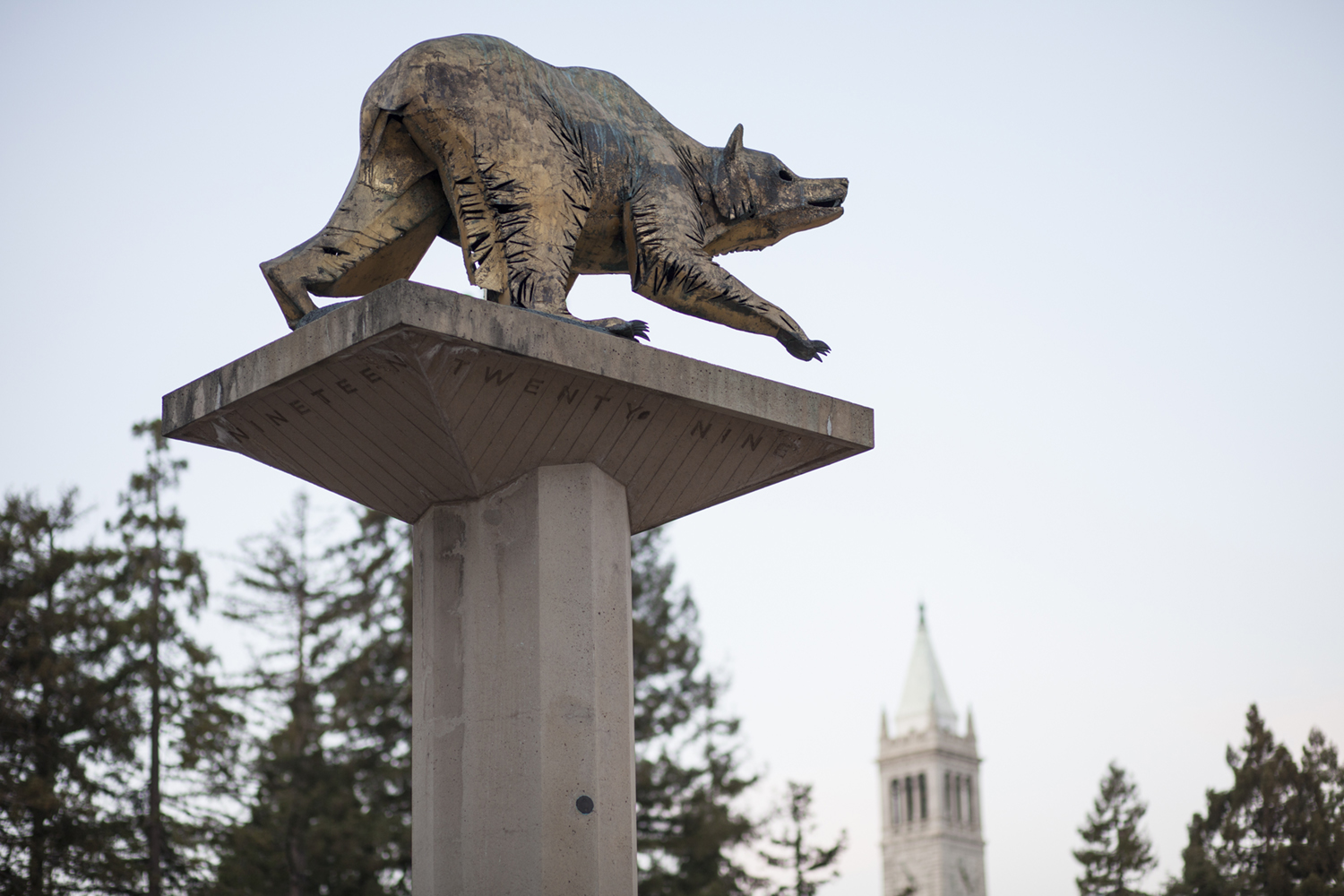 bear and campanile