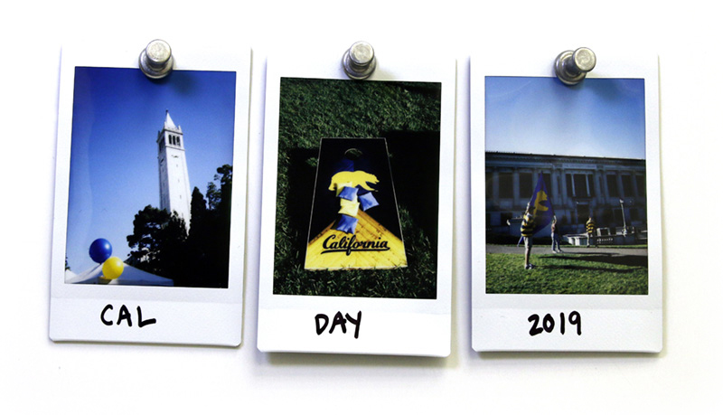 Cal Day 2019: We asked Library visitors to describe UC Berkeley in one