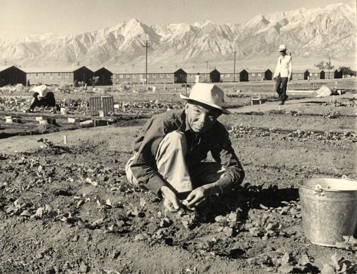 Man works in a field at prison camp
