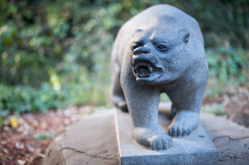 bear statue