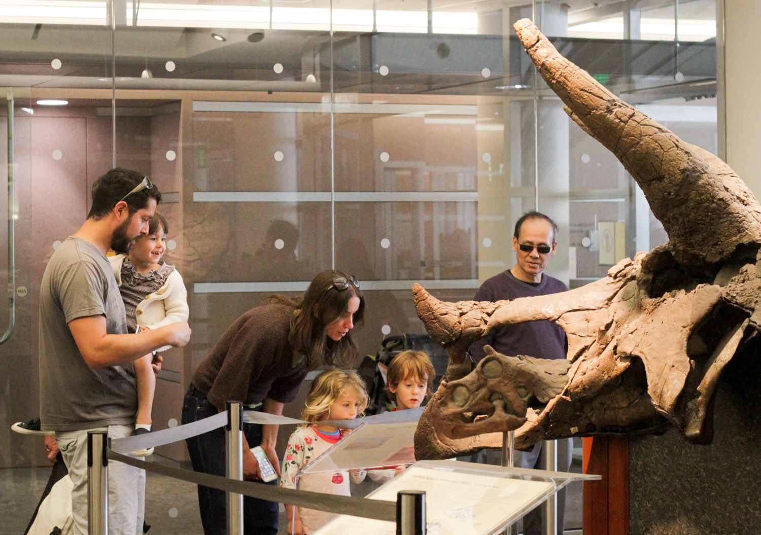 Families look at dinosaur bones