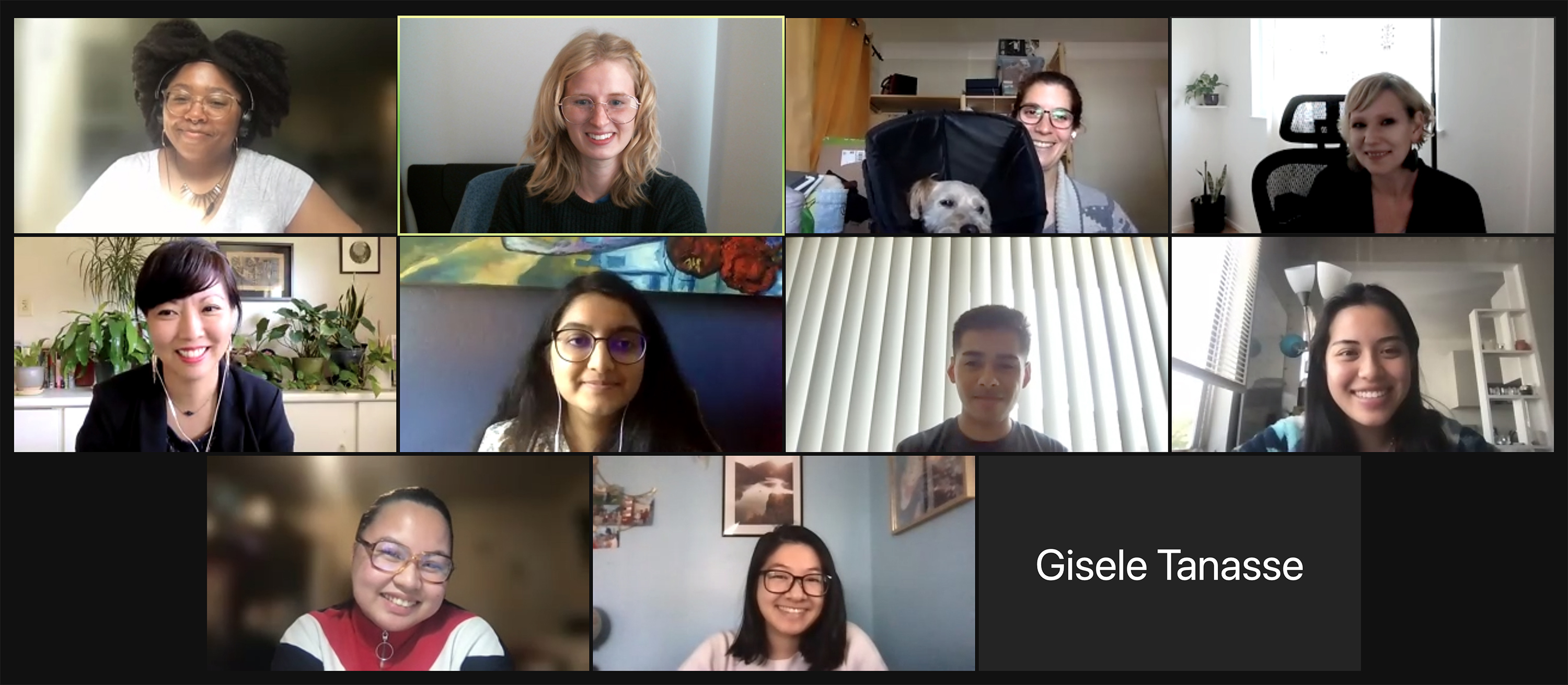 An online meeting of the Library Fellows
