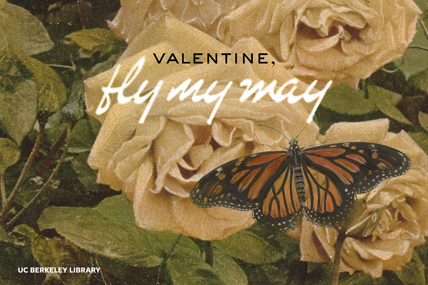Valentine with butterfly