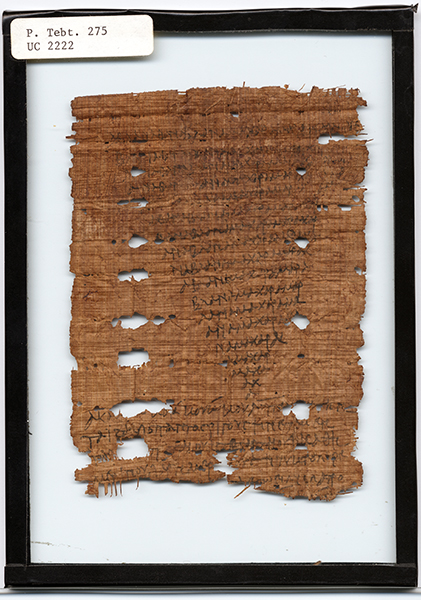 A framed piece of papyri
