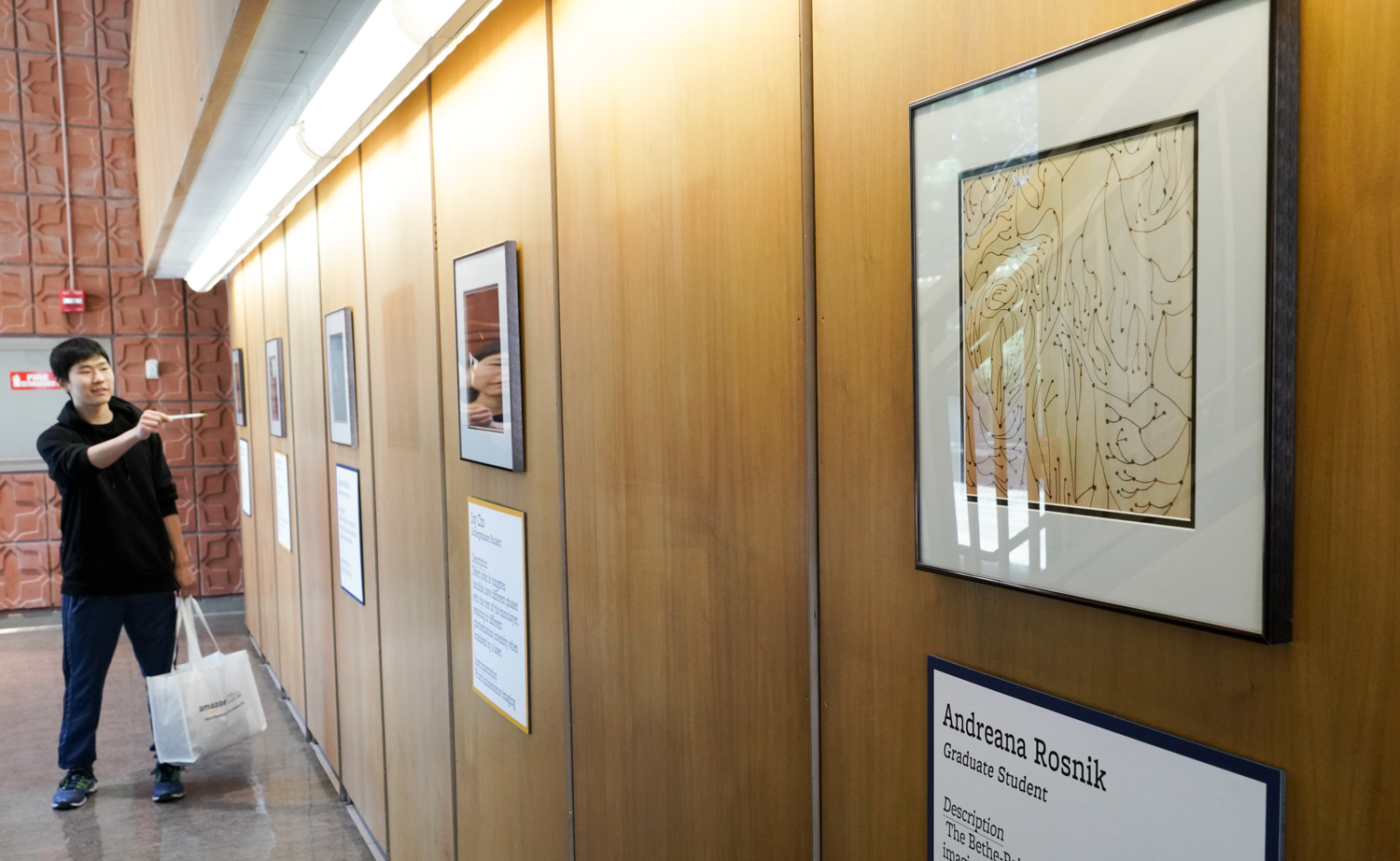 Nathan Lee looks at the artwork posted in the “Science as Art” exhibit in the Chemistry and Chemical Engineering Library on Cal Day, April 21, 2018.