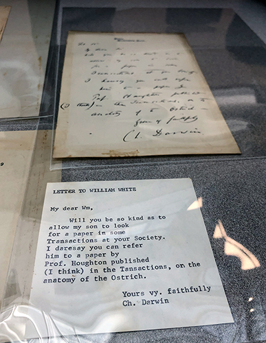 Darwin letter