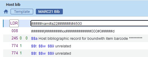 Screenshot of Host bib bibliographic record template